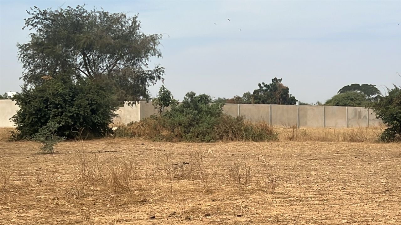 Terrains de 225 mètres carrés à vendre à Ndiorokh Sénégal - photo 3