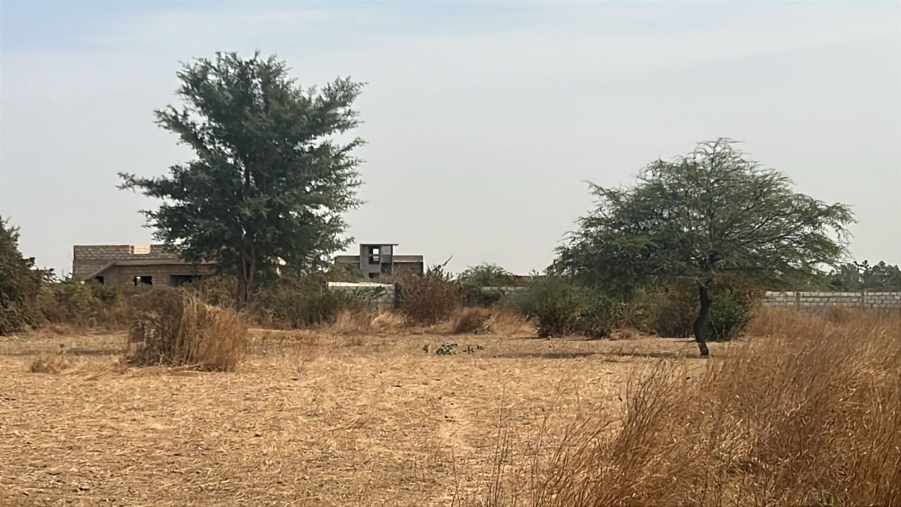 Terrains de 225 mètres carrés à vendre à Ndiorokh Sénégal - photo 4
