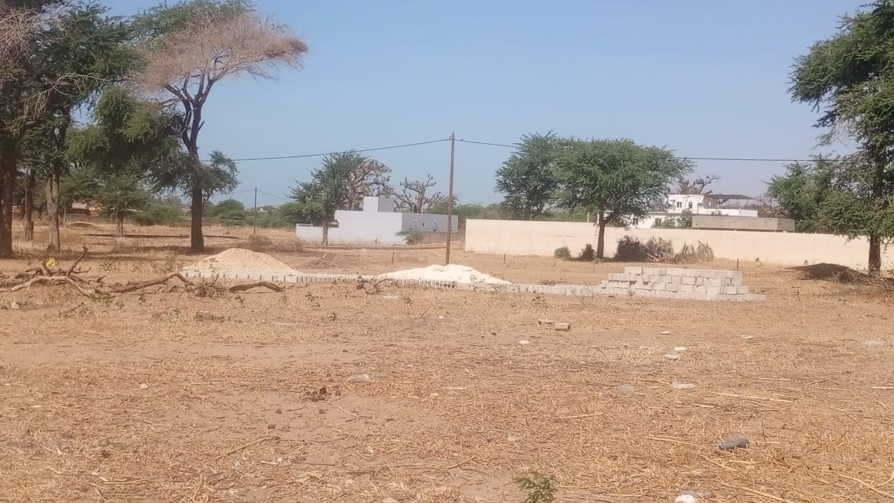 Terrain de 300 mètres carrés à vendre à Nianing Sénégal - photo 2