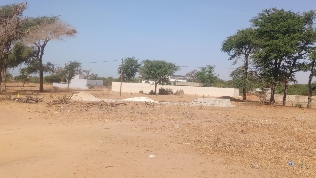Terrain de 300 mètres carrés à vendre à Nianing Sénégal - photo 3