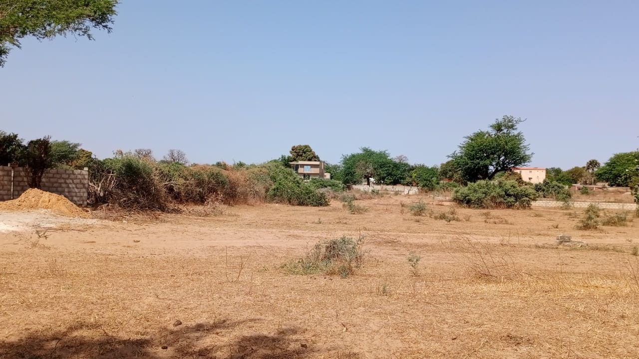 Terrains de 300 mètres carrés à vendre à Malicounda Sénégal - photo 2