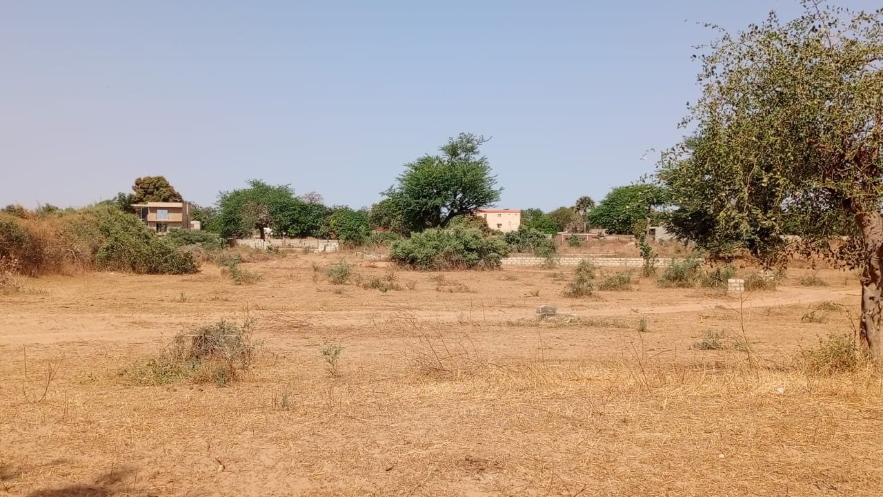 Terrains de 300 mètres carrés à vendre à Malicounda Sénégal - photo 3
