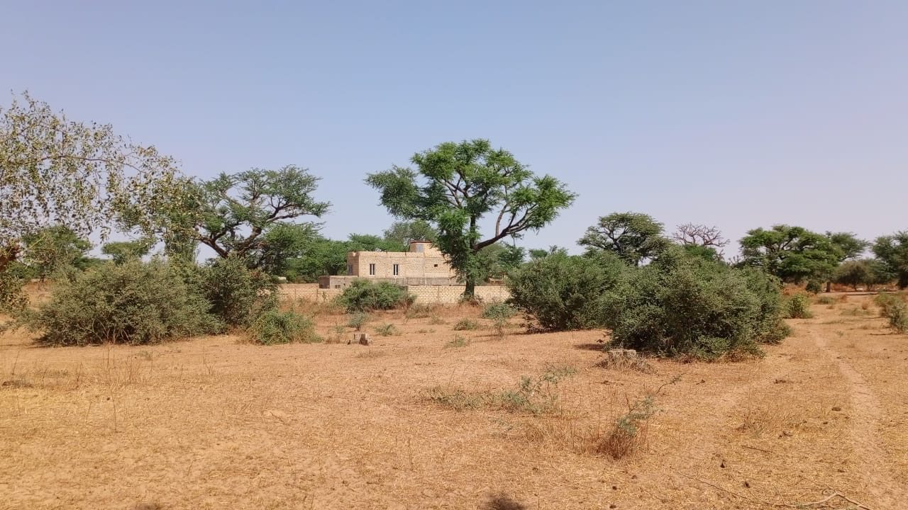 Terrains de 300 mètres carrés à vendre à Malicounda Sénégal - photo 4