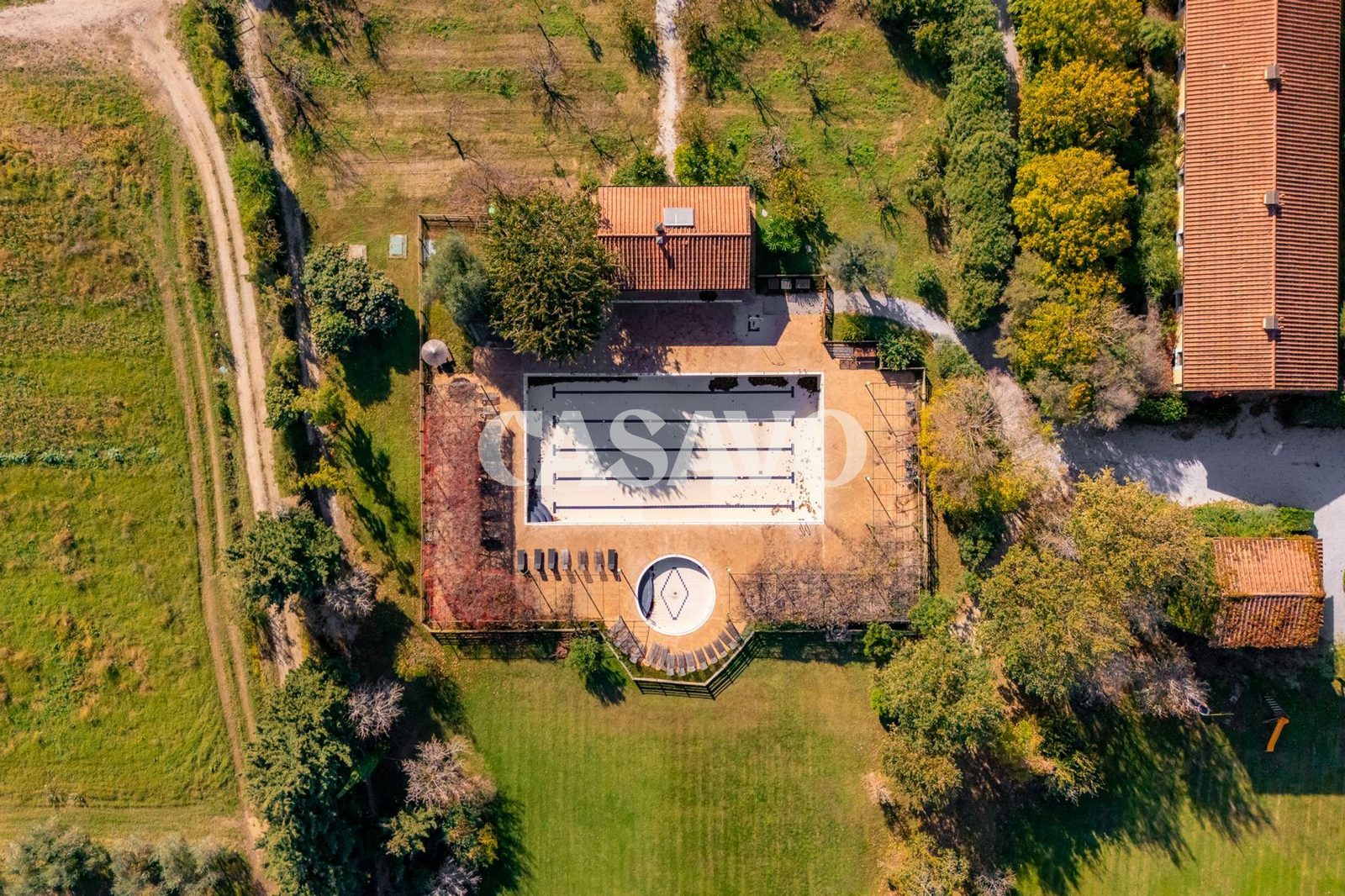 Resort de luxe avec vignoble - Bolgheri DOC, Toscane (Italie) - photo 3