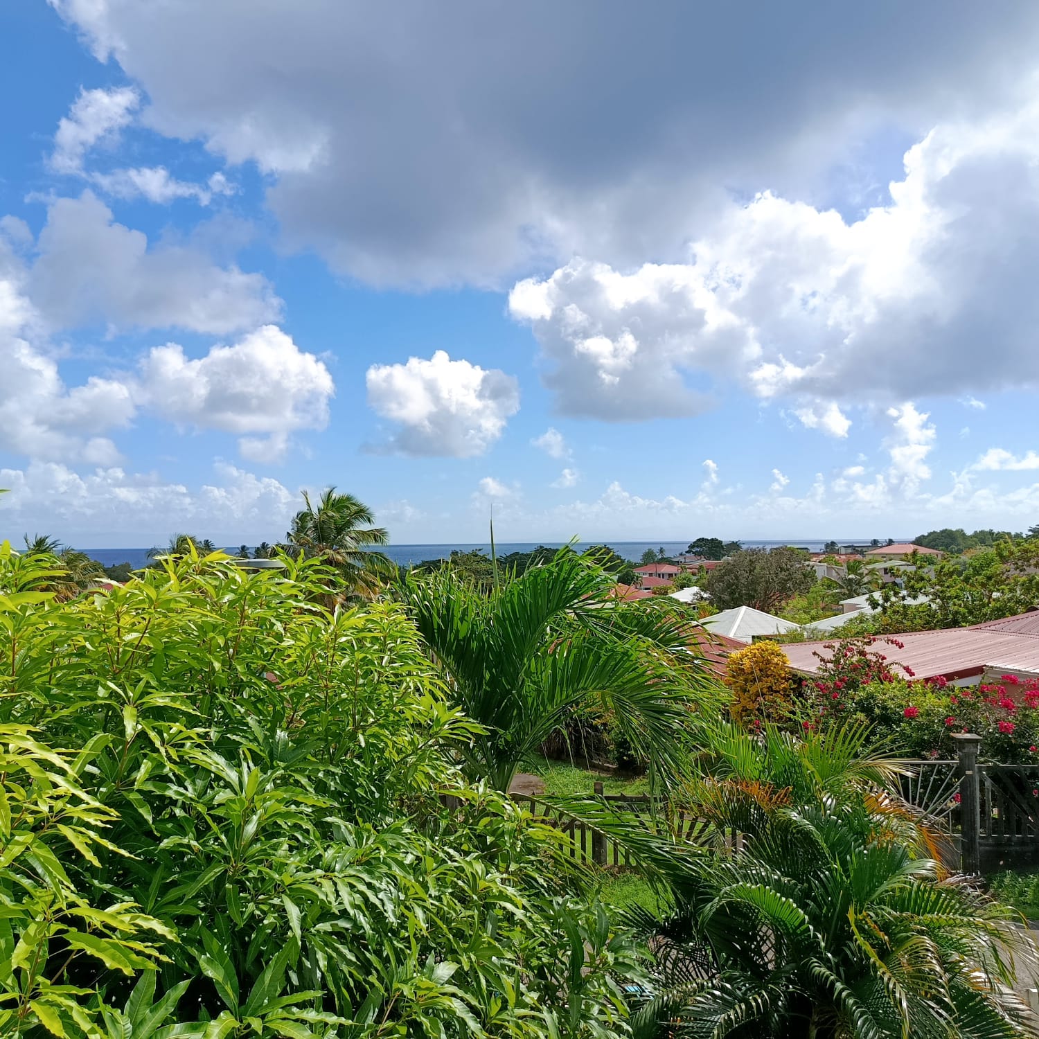 LOCATION SAISONNIERE VILLA AVEC PISCINE PRIVEE A SAINTE LUCE - photo 5