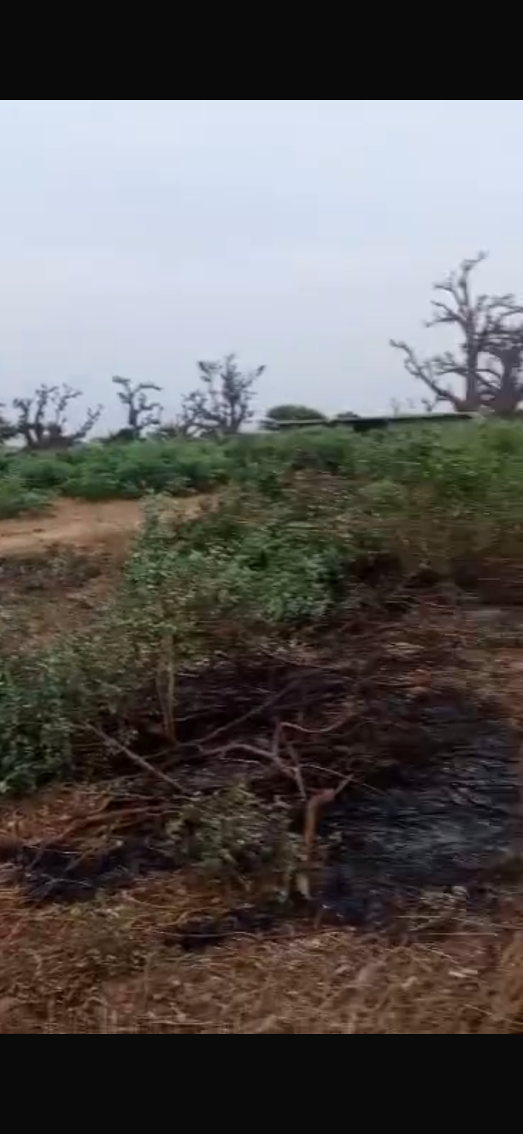 Terrain de 300 mètres carrés à vendre à Malicounda Sénégal - photo 6