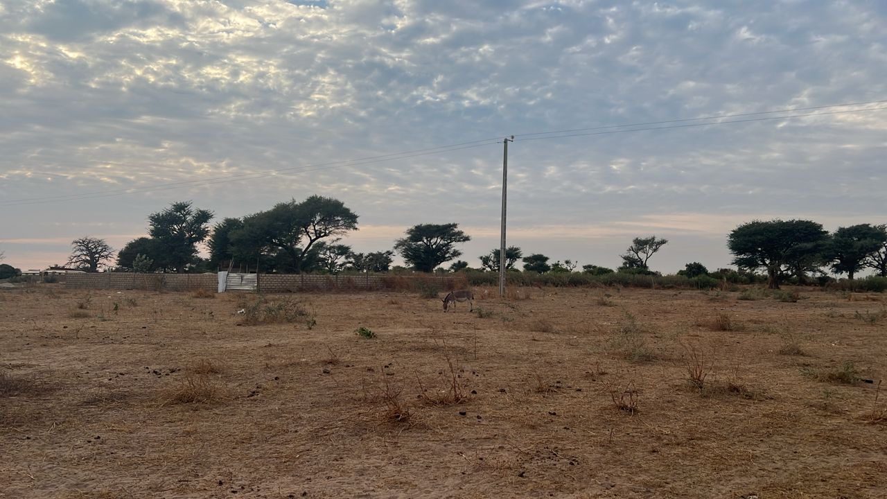 Terrains de 225 mètres carrés à vendre à Babel Sénégal - photo 2