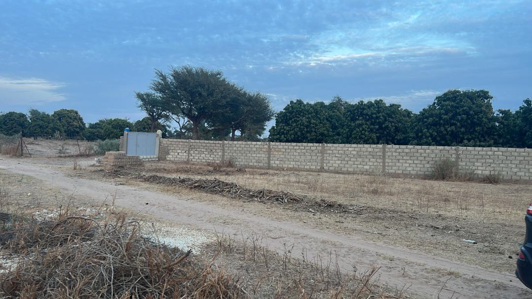 Terrains de 225 mètres carrés à vendre à Tène Toubab Sénégal - photo 3