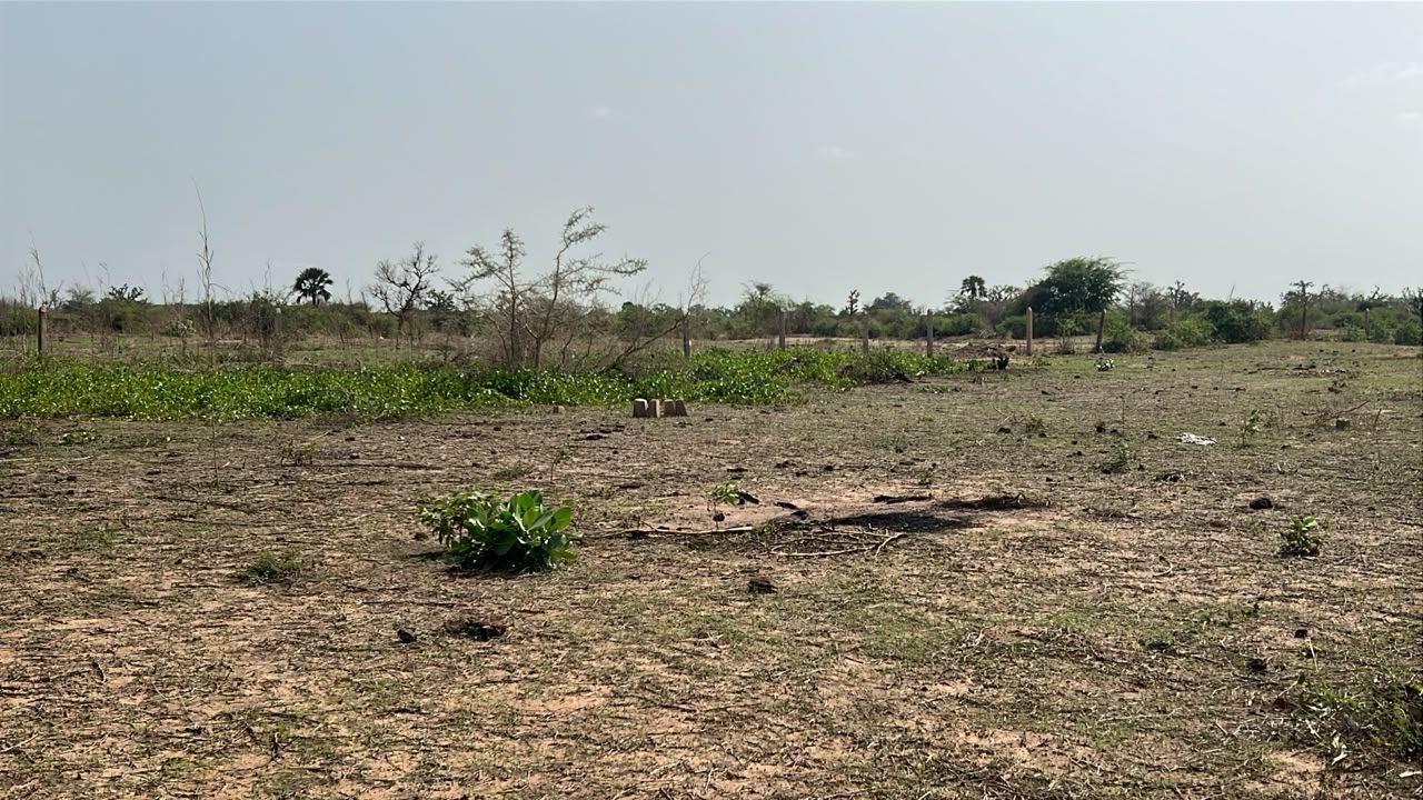 Terrains de 300 mètres carrés à vendre à Somone  Sénégal - photo 2