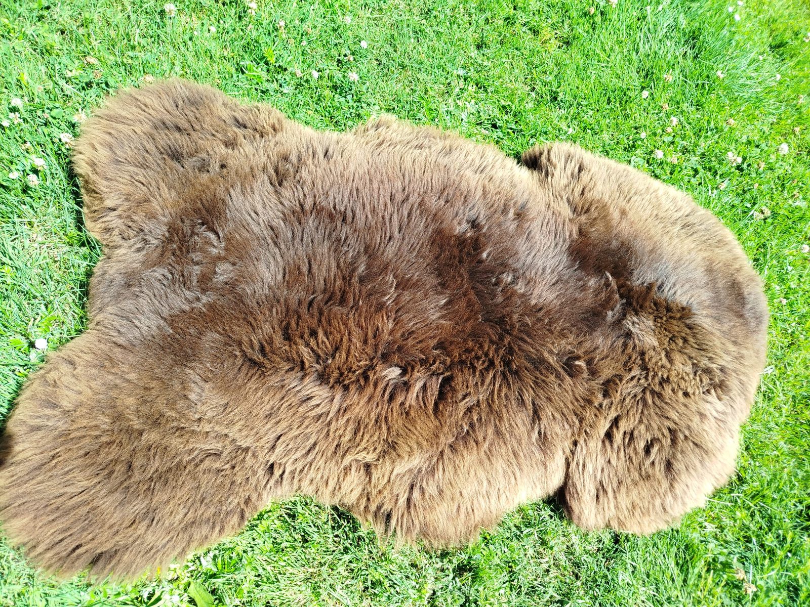 Peaux de mouton néerlandaises, qualité supérieure - photo 2