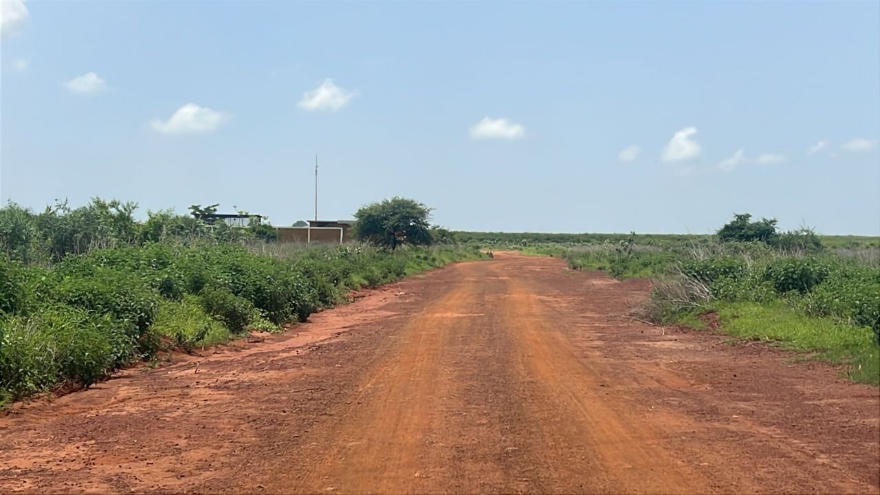 Terrains de 225 mètres carrés à vendre à Kiniabour Sénégal - photo 3