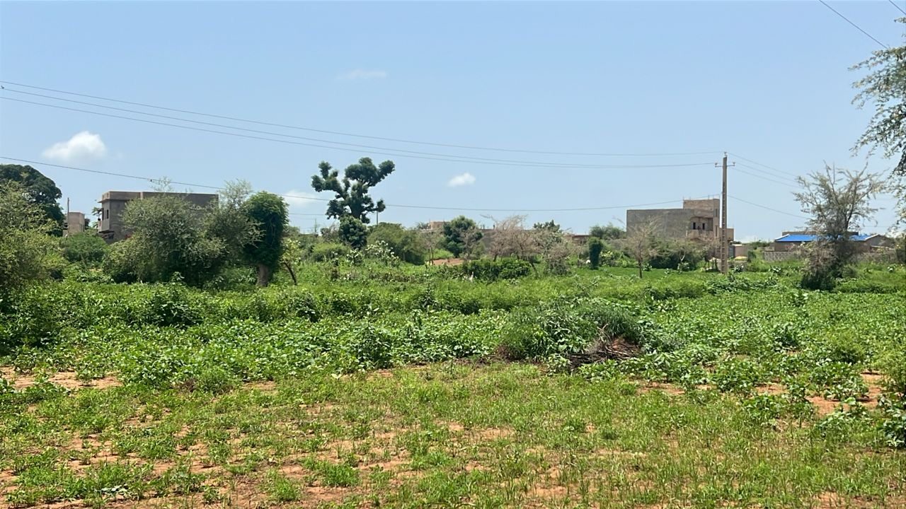 Terrain de 450 mètres carrés à vendre à Kiniabour Sn - photo 2
