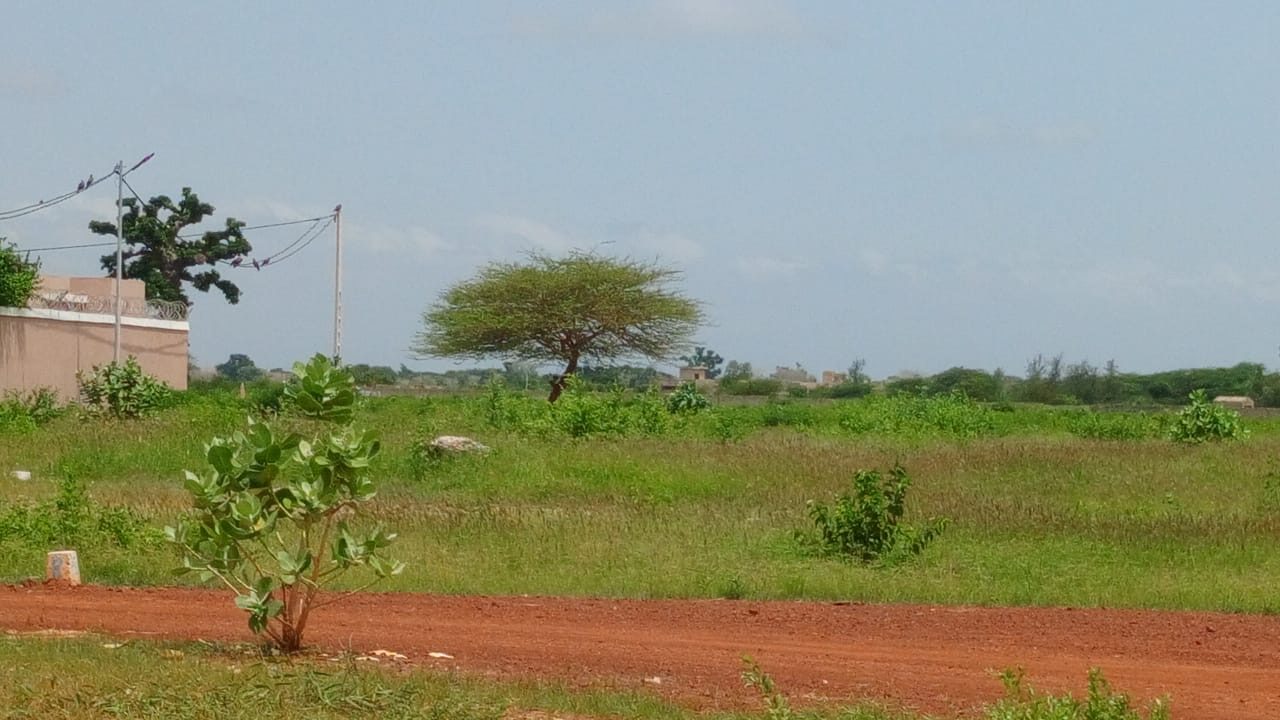 Terrain de 600 mètres carrés à vendre à Gandigal Sénégal - photo 4